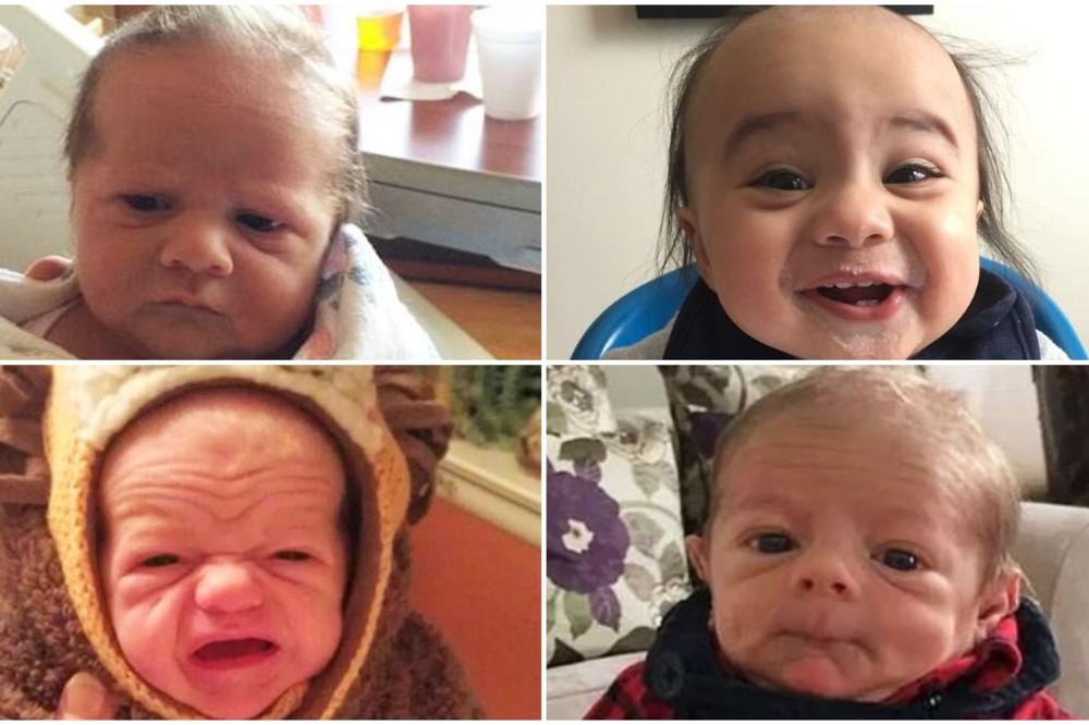 OVE BEBE IZGLEDAJU KAO PENZIONERI: A ne postoji ništa slađe na planeti! (FOTO)
