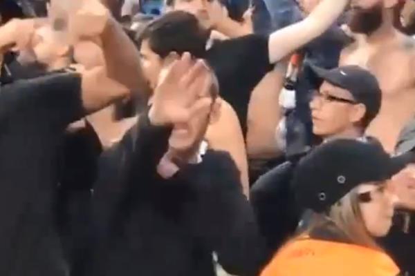 OGLASIO SE LION: Naci - navijač više neće smeti na stadion!