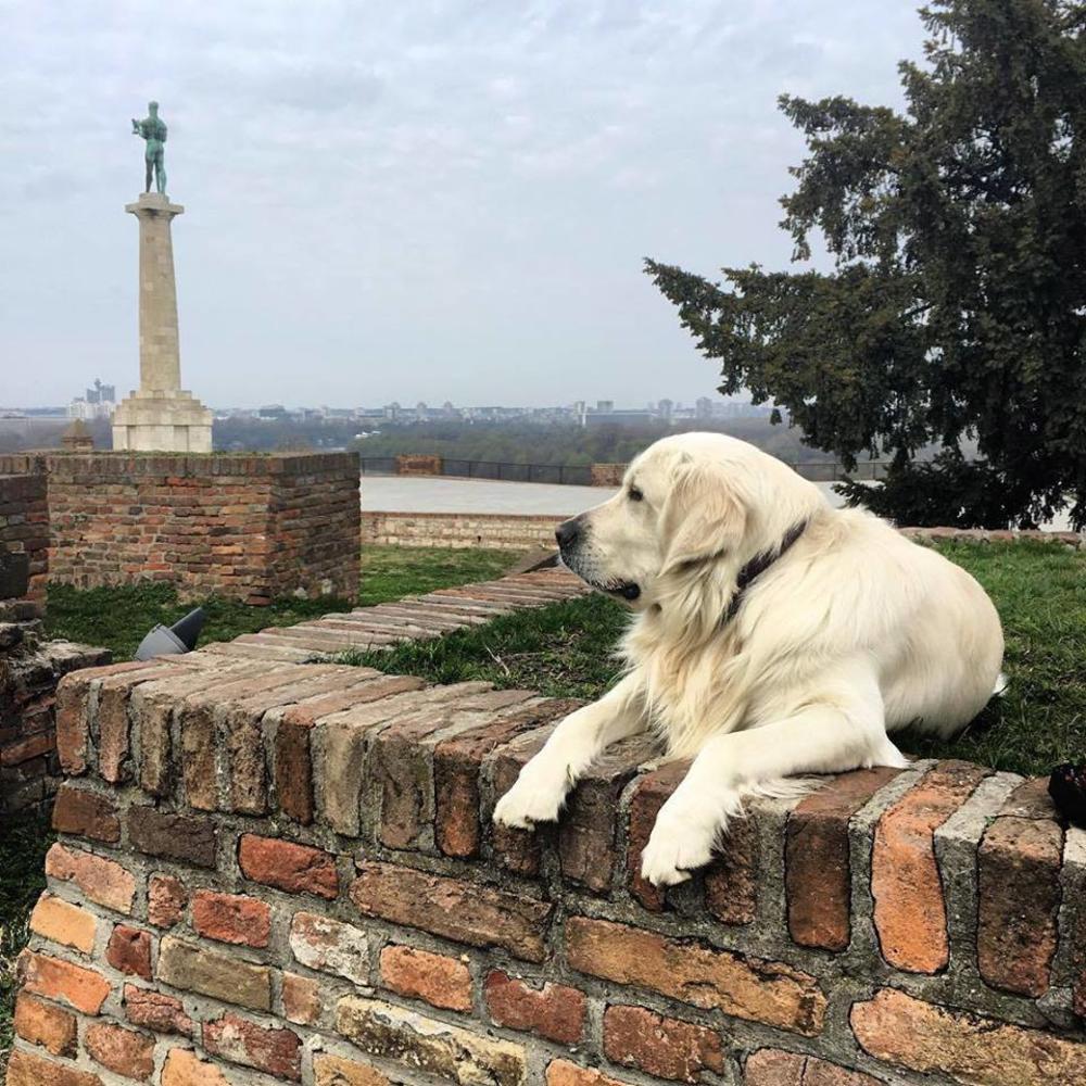 Postoji nekoliko teorija koje objašnjavaju ovo 