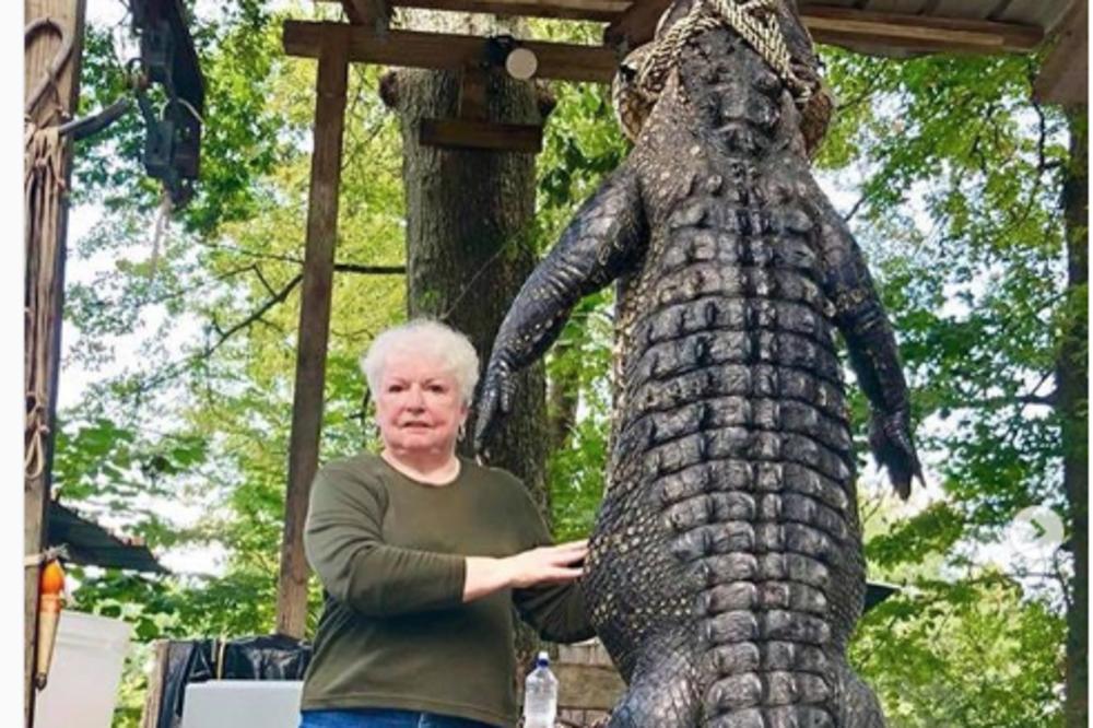 BAKA UBILA ALIGATORA TEŠKOG 260 KILOGRAMA! Tri godine ga je vrebala, motiv joj je bio OSVETA! (VIDEO)