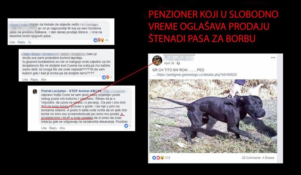 Levijatan nema oštar stav kada su u pitanju borbe pasa  