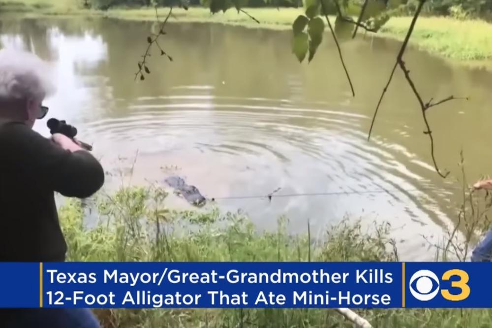 OVA BAKA JE SASULA METAK U GLAVU ALIGATORU, I TO IZ OSVETE! Ubila ga je hladnokrvno (VIDEO)
