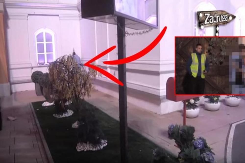 MIRKO GAVRIĆ NIJE JEDINI! Dok je trajala cela FRKA, neprimetno je pokušao ON da se iskrade iz Zadruge! (VIDEO)