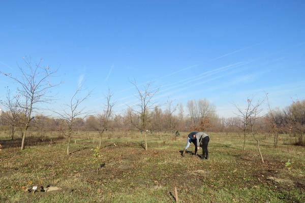 KO IMA NJIVU, IMA BOGATSTVO: Hektar oranice u Srbiji i do 250.000 evra