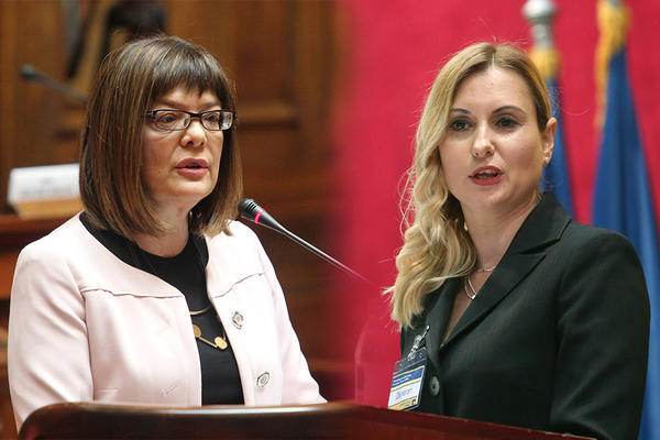 POLEMIKA U SKUPŠTINI: Gojković i Jerkov ušle u raspravu zbog Zakona o nestalim bebama!