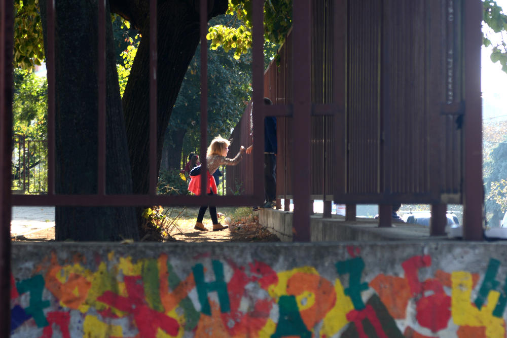  Osnovna škola 'Ljuba Nenadović