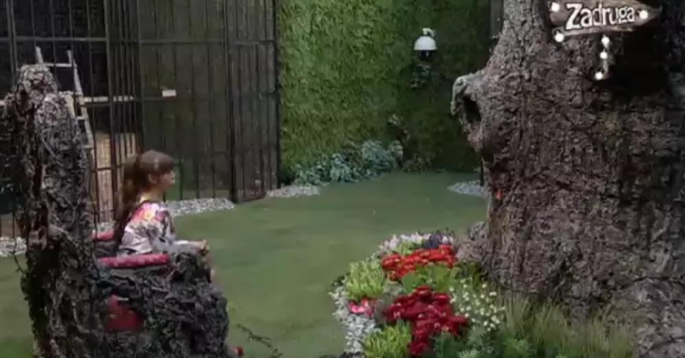 Miljana Kulić i Drvo mudrosti 