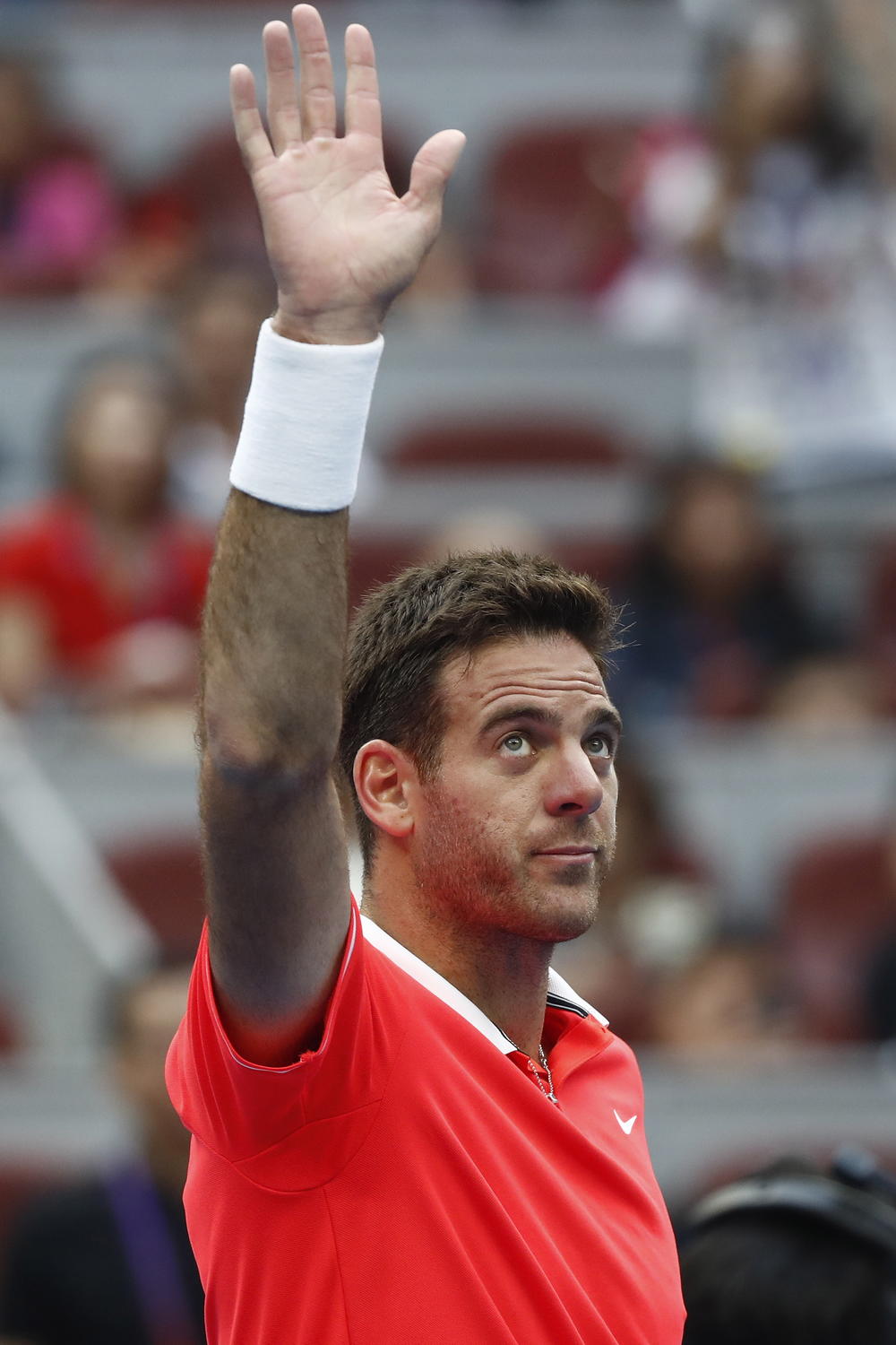 Huan Martin del Potro je u polufinalu Pekinga  