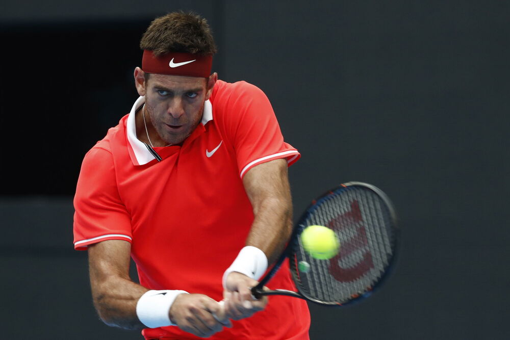 Huan Martin del Potro