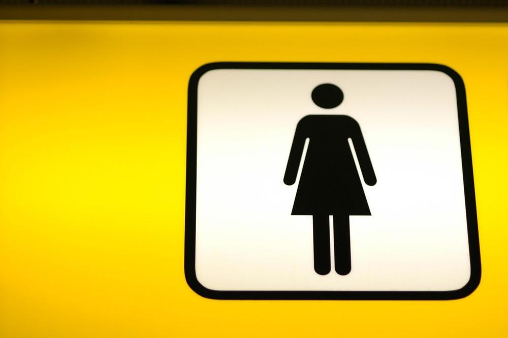 ZNATE LI ŠTA JE TROUGAO NA ŽENSKOM ZNAKU ZA WC? Ako mislite da je haljina, CEO ŽIVOT GREŠITE