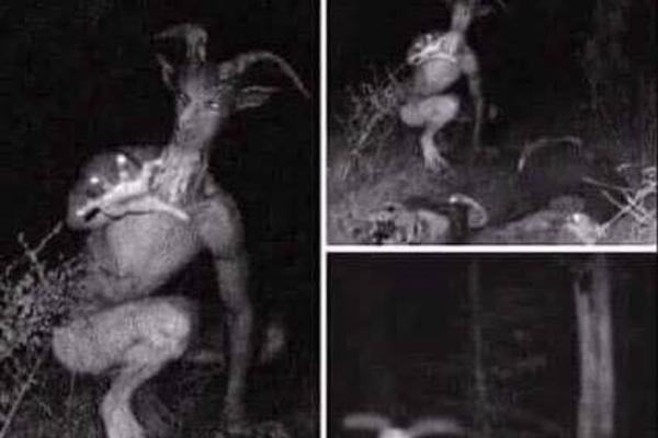 JARAC-ČOVEK VREBA PO SRBIJI: Uslikali ga meštani kod Velike Plane, KRICI KIDAJU UŠI! (FOTO)