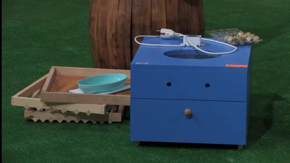 Inkubator za jaja, Nikola Draganić  