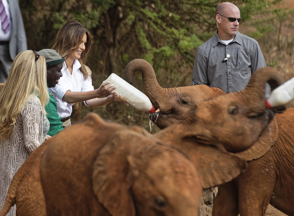 Melanija Tramp hrani bebu slona  
