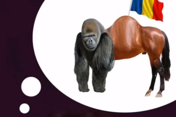 AKO NE ZNATE KOJE JE STVORENJE NA SLICI, MI SMO TU DA POMOGNEMO! Uvreda zbog koje ćete se smejati DANIMA!