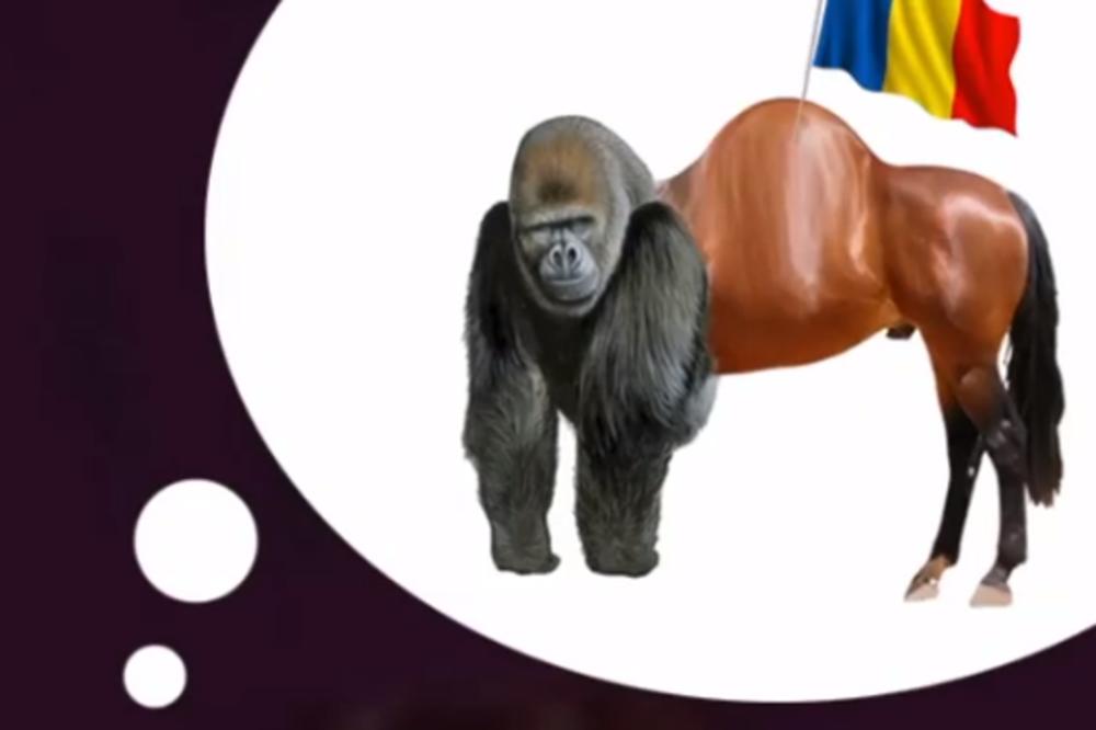 AKO NE ZNATE KOJE JE STVORENJE NA SLICI, MI SMO TU DA POMOGNEMO! Uvreda zbog koje ćete se smejati DANIMA!