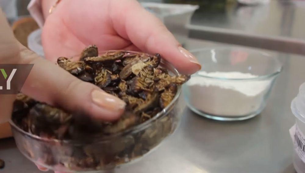 jedan deo brašna koji se koristi za pravljenje hleba napravljen je od bubašvaba  