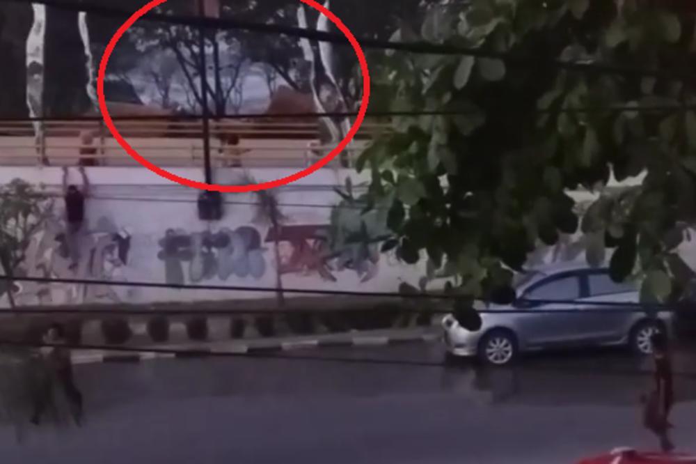 NAJSTRAŠNIJI SNIMAK CUNAMIJA: Ljudi su vrištali, a onda je BUJICA odnela sve pred sobom! (VIDEO)