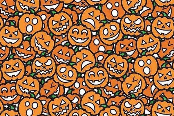 MOŽETE LI DA NAĐETE ŽETON MEĐU BUNDEVAMA? Najbolji će ga uočiti za 30 sekundi!