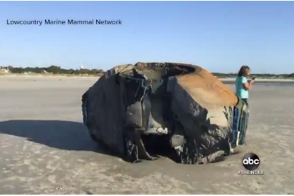 MISTERIOZNI OBJEKAT PRONAĐEN NA PLAŽI: Svi su mislili da je NLO, kad su prišli ostali su ZABEZEKNUTI PRIZOROM!
