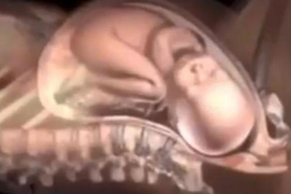 OVO JE NEŠTO NAJDIVNIJE ŠTO ĆETE VIDETI: Nemojte da propustite priliku da pogledate ovaj snimak! (VIDEO)