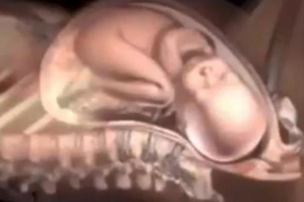 OVO JE NEŠTO NAJDIVNIJE ŠTO ĆETE VIDETI: Nemojte da propustite priliku da pogledate ovaj snimak! (VIDEO)