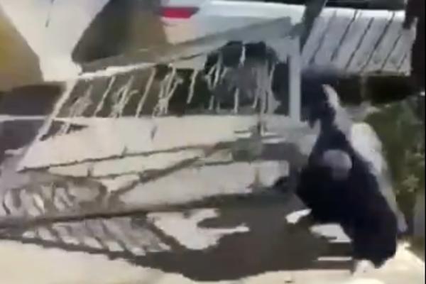 SVI SU ZNALI ŠTA ĆE DA SE DESI: A opet su nastavili da rade to! (VIDEO)