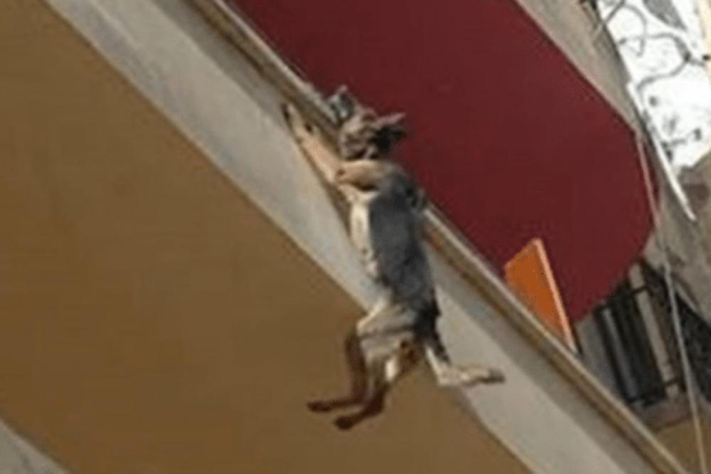 PAS JE VISIO SA BALKONA NA TREĆEM SPRATU: Pet sati niko nije REAGOVAO, spasioci zatekli UŽASAN PRIZOR! (FOTO)