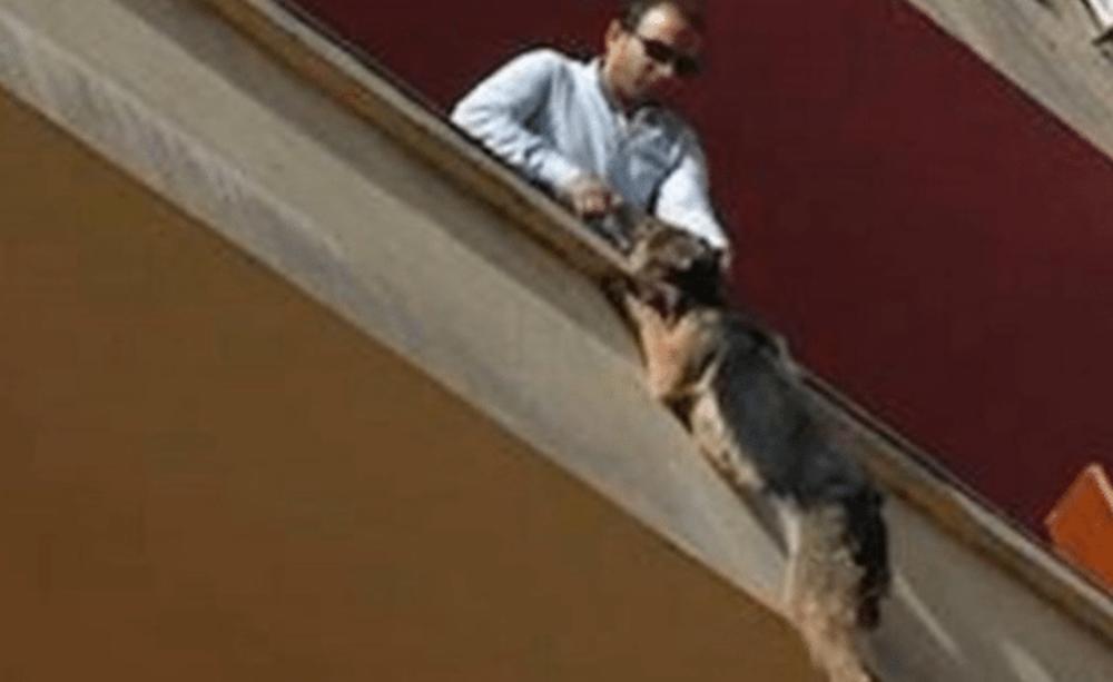 Pas je visio sa balkona pet sati  