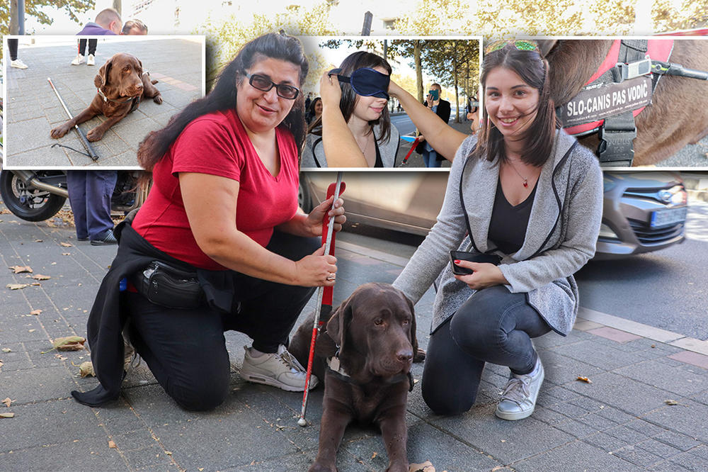OSTALA SAM U POTPUNOM MRAKU NA NEKOLIKO MINUTA: Sad znam koliko je težak život slabovidim ljudima (FOTO) (VIDEO)