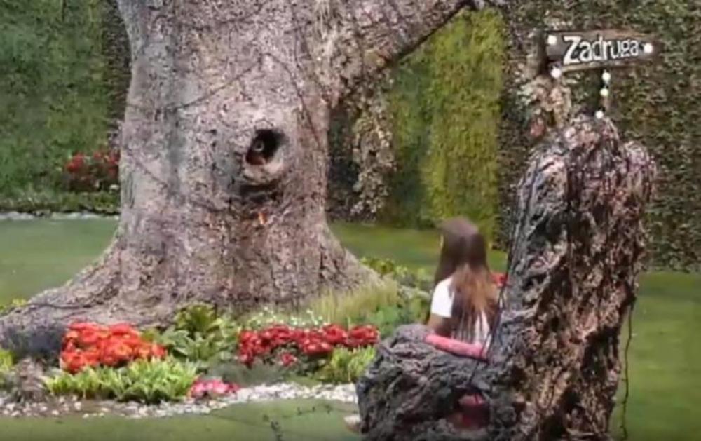 Miljana se posvađala i s Drvetom mudrosti  