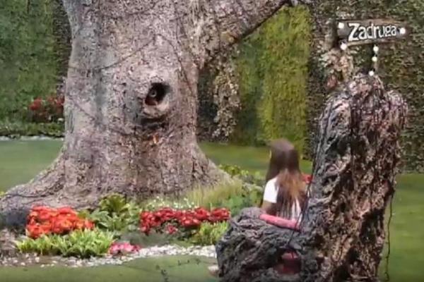 ŠTA JE, SMRADU, OLOŠU! Miljana Kulić pokušala da pobegne iz Zadruge, pa napala glavnog predstavnika produkcije!