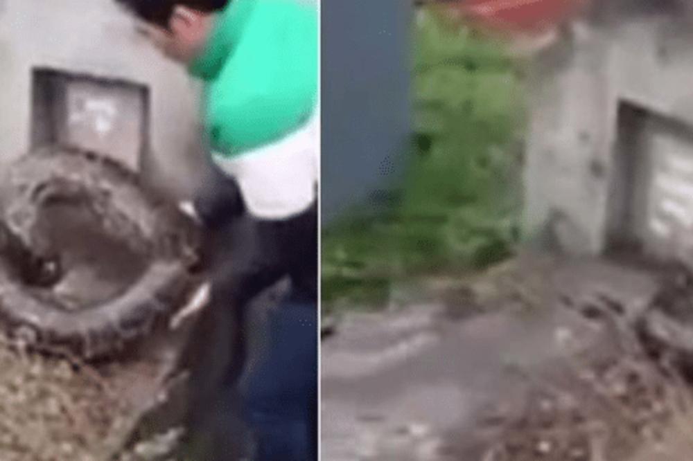 OGROMNA ZMIJA UŠLA U GROB ČOVEKA KOJI JE SAHRANJEN: Pravila se mrtva, pa čekala da krene za preminulim! (VIDEO)