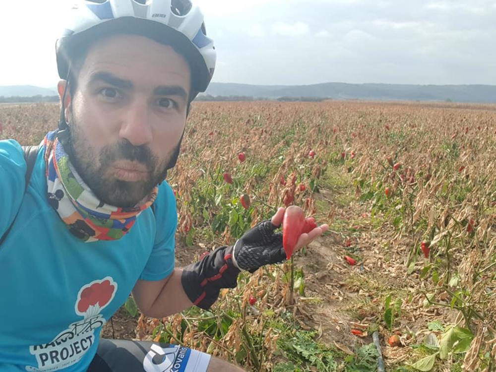 Elpis bere papriku prilikom putovanja kroz našu zemlju  