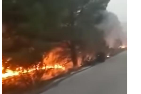 GRČKA PONOVO U PLAMENU: Nebo prekriveno dimom, nema struje, telefoni ne rade (VIDEO)