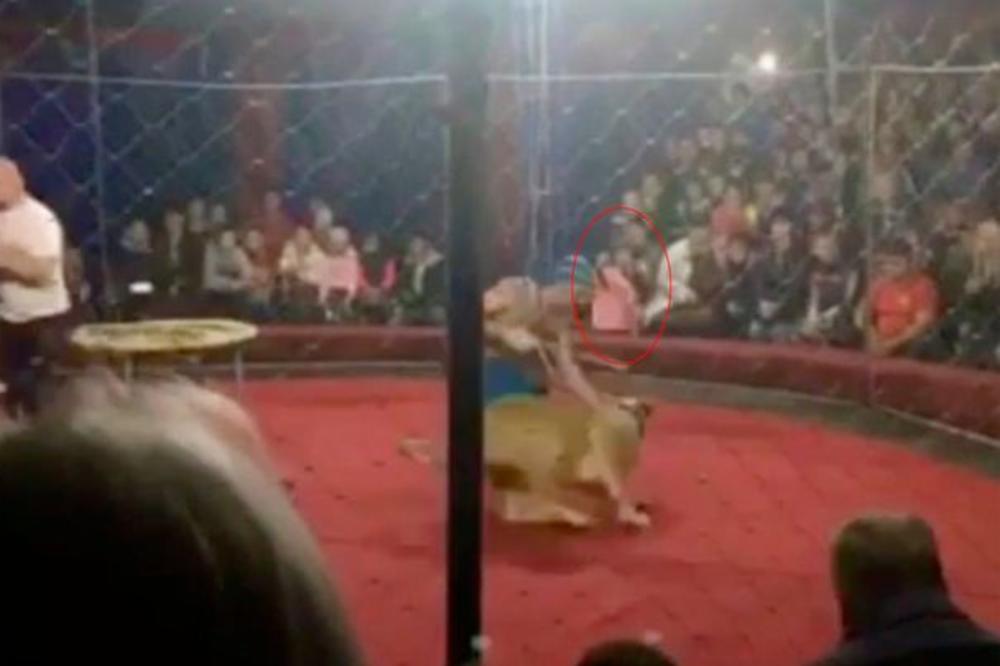 LAVICA NAPALA DEVOJČICU (4) U CIRKUSU! Preskočila je ŽICU, a onda se odigrao HOROR!