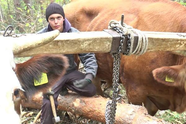 NA MUKOTRPAN RAD NAUČENI OD MALIH NOGU! Veljko ima 15 godina, a žuljevi na njegovim rukama postideće mnoge (FOTO)