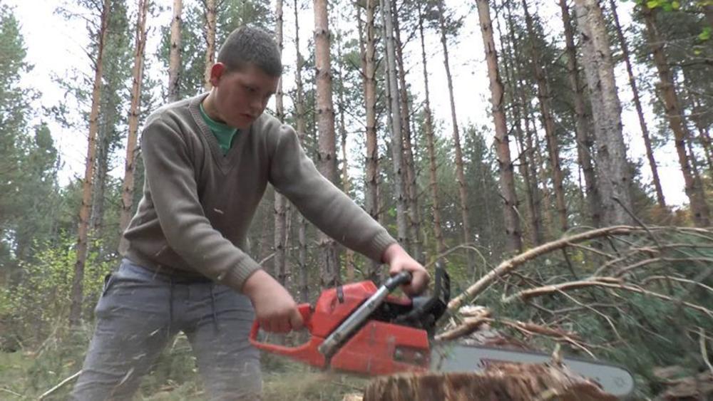 Veljko Laković (15) u šumu je od svoje 10 godine od kada je naučio da barata motornom testerom   