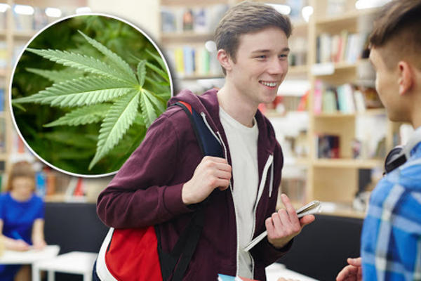 Svaki osmi učenik prvog razreda srednje probao je marihuanu, a ovo je KLJUČNI PERIOD kada sve počinje