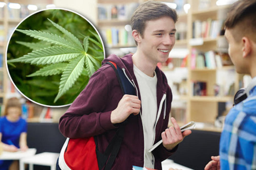 Svaki osmi učenik prvog razreda srednje probao je marihuanu, a ovo je KLJUČNI PERIOD kada sve počinje
