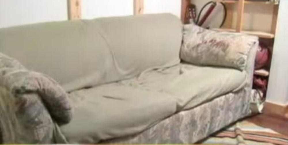 Čovek je pomerio kauč kako bi usisao, a onda je ugledao ovu odvratnu stvar: Nije životinja, mnogo je gadnije! FOTO
