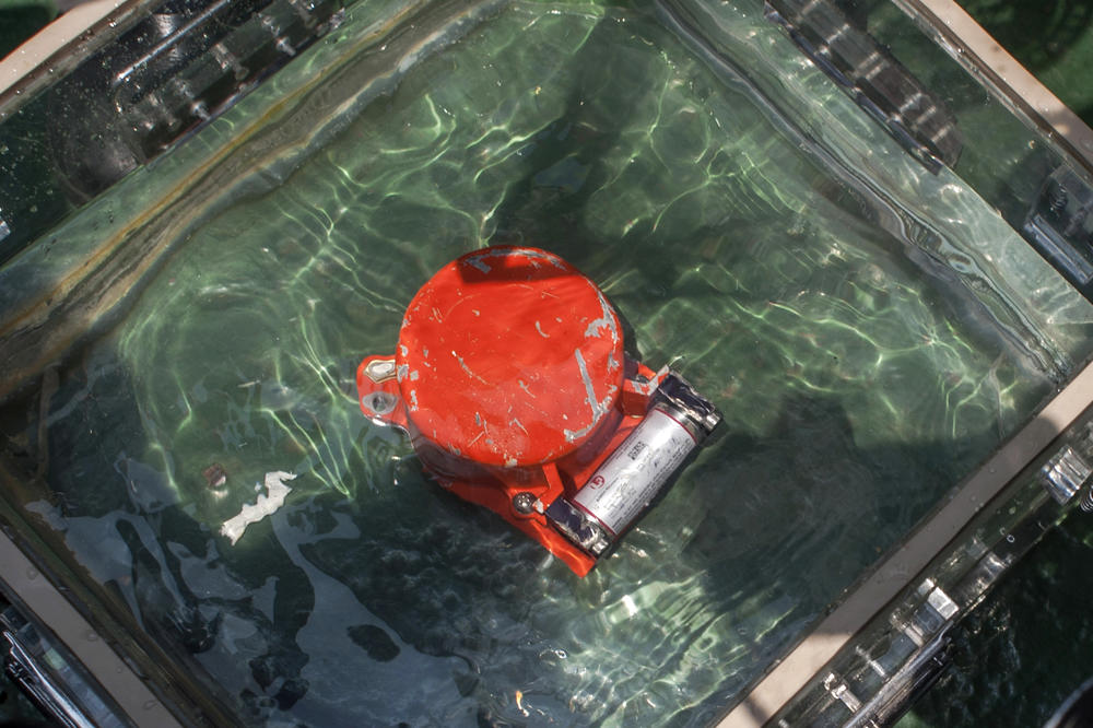 PRONAĐENA CRNA KUTIJA SRUŠENOG AVIONA! Uskoro ćemo saznati šta je dovelo do smrti 189 osoba