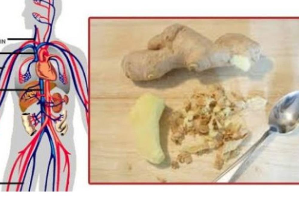 ZDRAVLJE I ĐUMBIR U KOMBINACIJI?