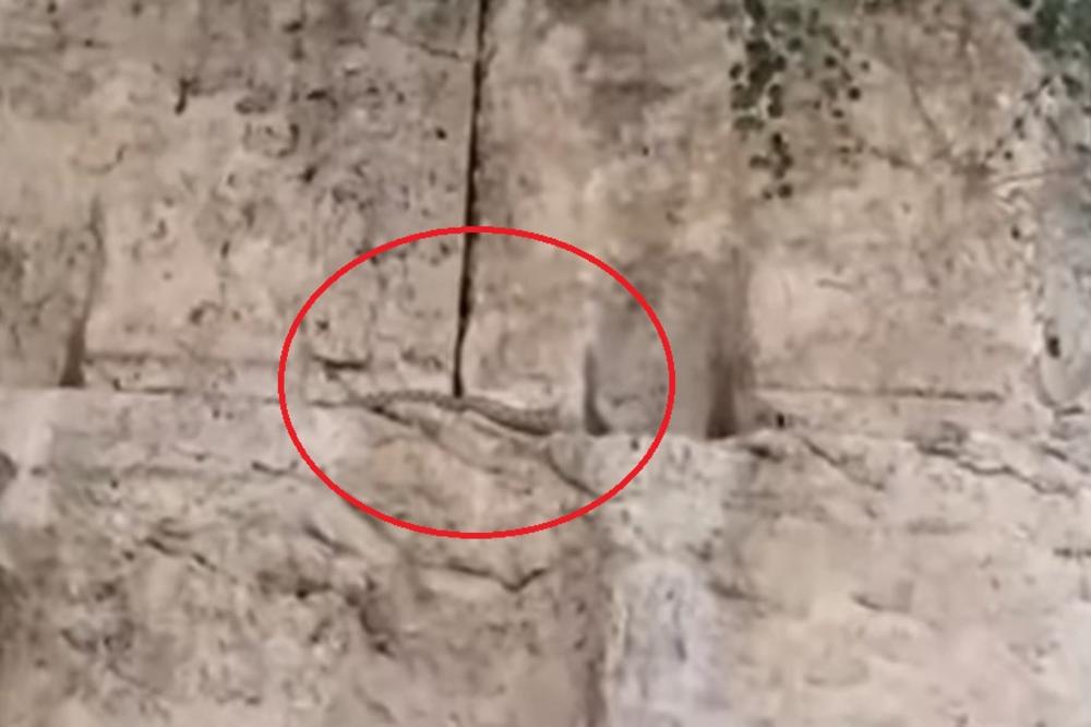 SPREMA NAM SE KATAKLIZMA I PROPAST SVETA? Crvena junica, riba u Mrtvom moru, a poslednji ZNAK JE U JERUSALIMU