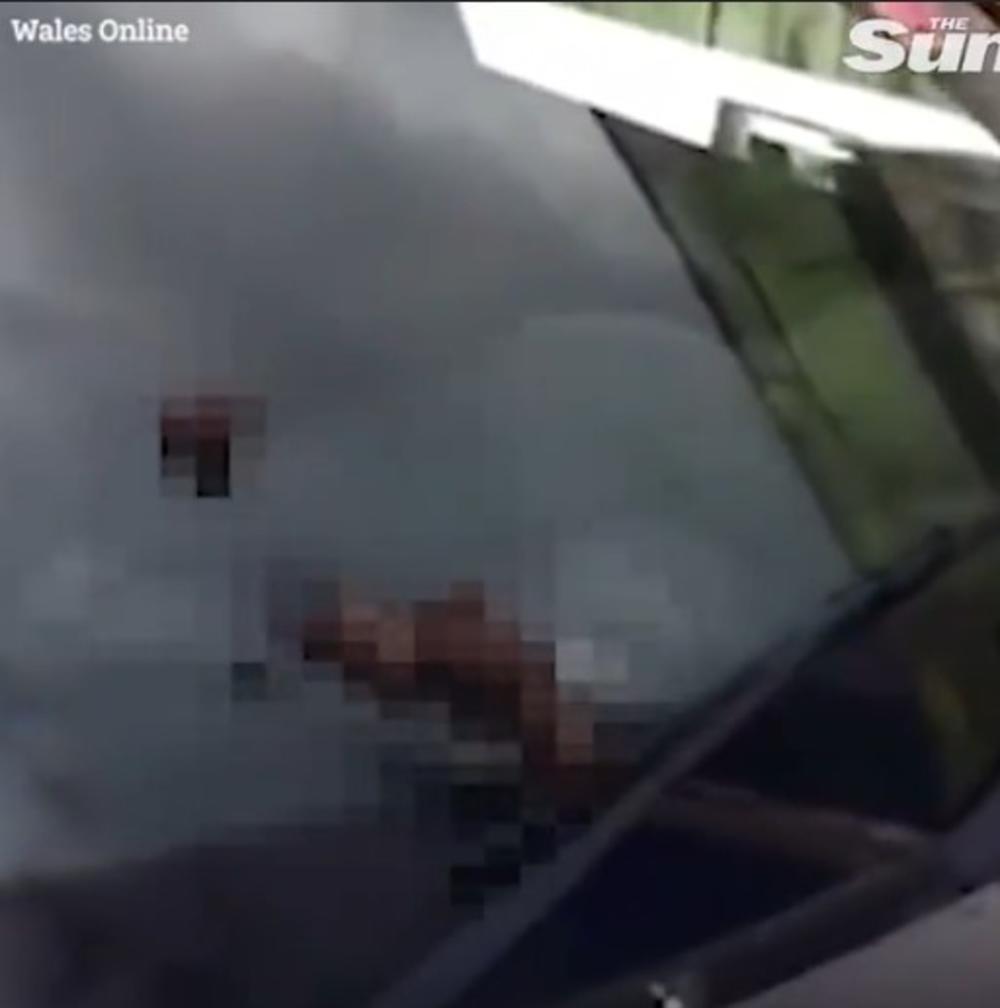 Izmet koji je zateklana automobilu  