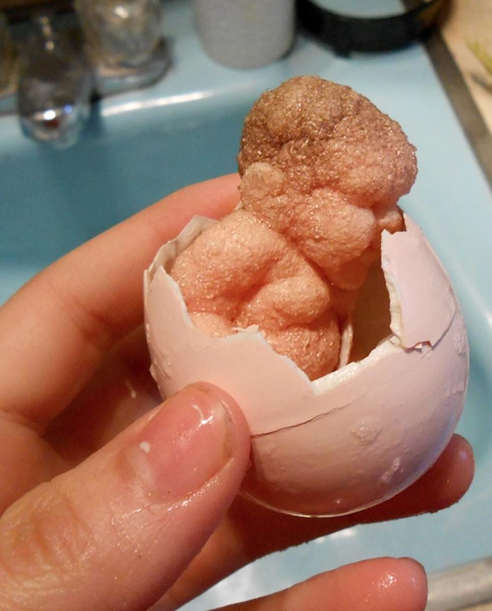 Iz jajeta je izašla beba...  