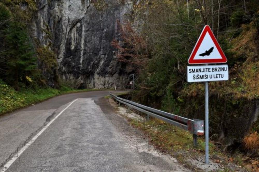 SMANJITE BRZINU, ŠIŠMIŠI U LETU! U Bosni osvanuo nesvakidašnji saobraćajni znak!
