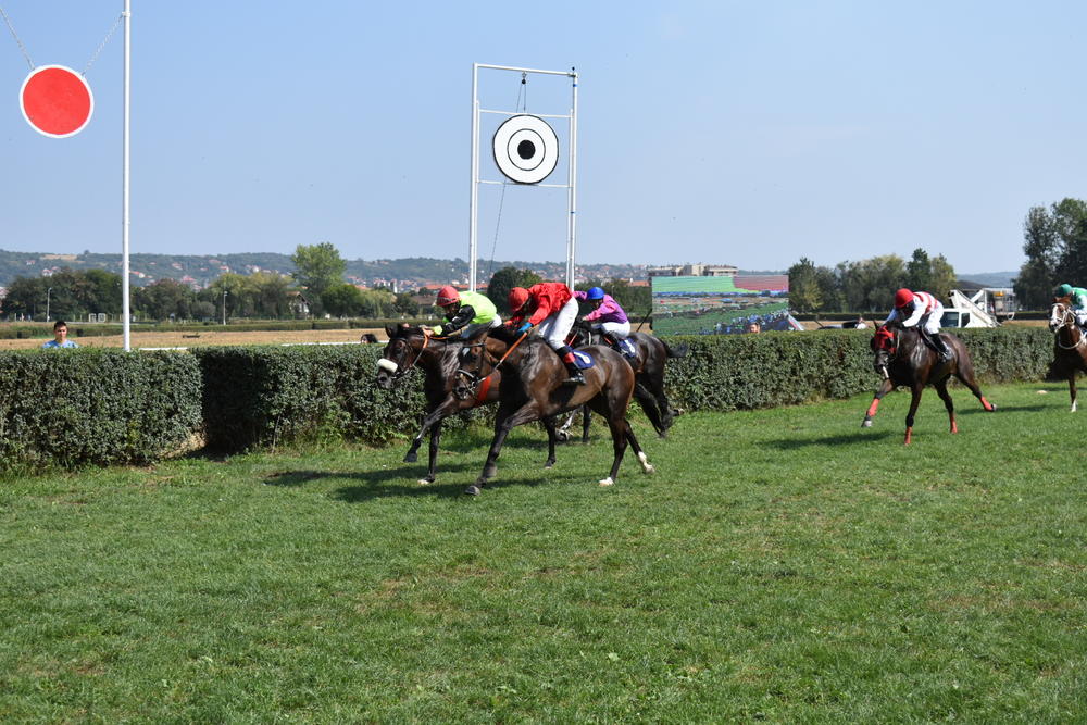 Marko Milenković osvojio četvrtu titulu na 55. Ljubičevskim konjičkim igrama 