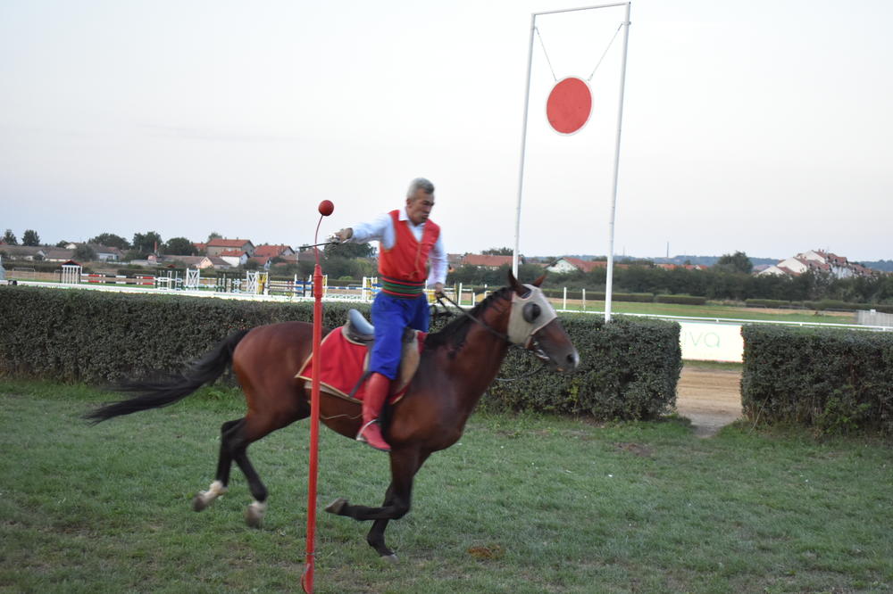 USPEH! Marko Milenković osvojio četvrtu titulu na 55. Ljubičevskim konjičkim igrama! (FOTO)