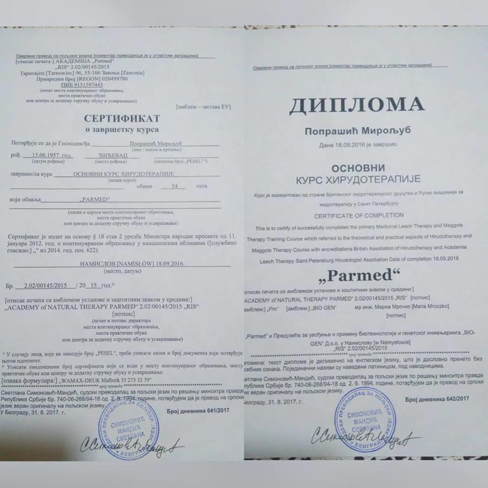 Miletova diploma  