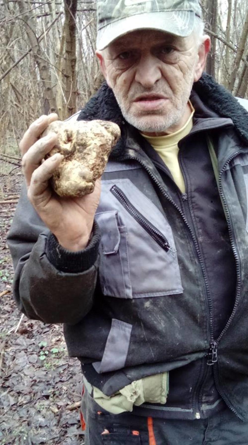 Mile Poprašić iz Ćićevca se bavi pronalaskom i trgovinom tartufima  